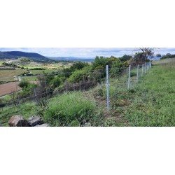 PIQUET A LINGUETS 210CM