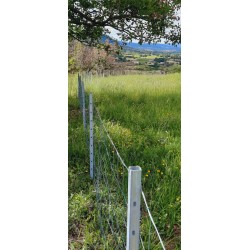 PIQUET A LINGUETS 210CM